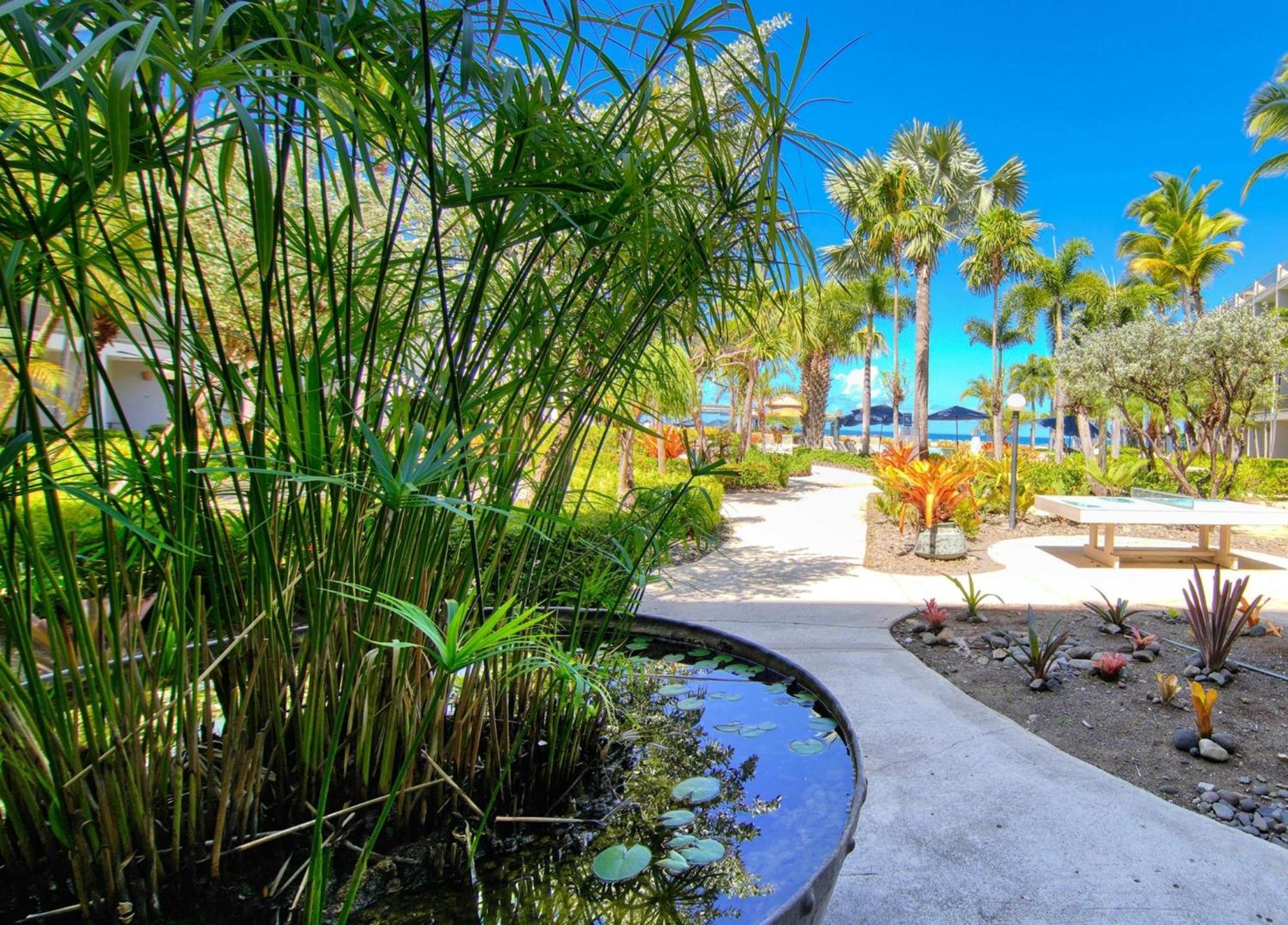 Rincon Of The Seas Grand Caribbean Hotel Екстериор снимка